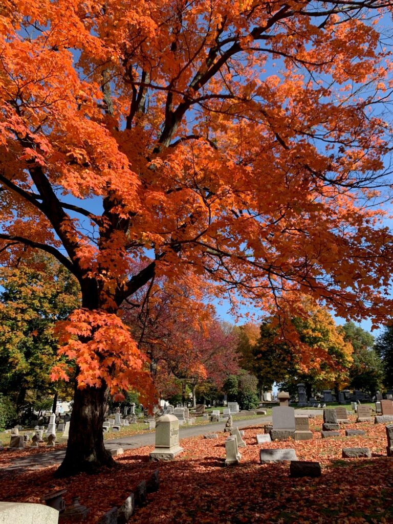 Erie Cemetery - Erie County