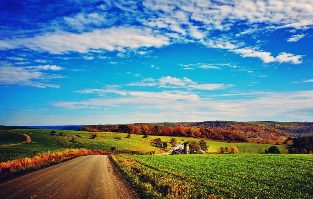 Country road Near Centerville - Crawford County